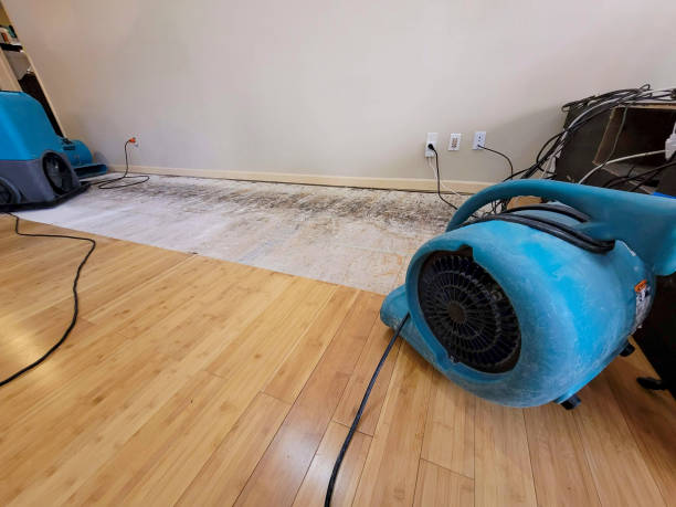 Professional Water Damage Repair technician working in Mineral City, OH